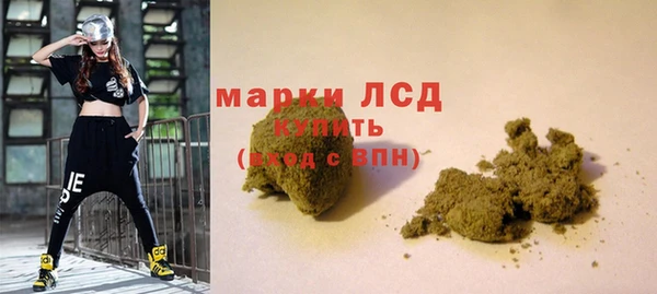 сатива Армянск