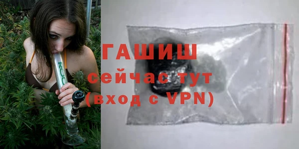 сатива Армянск