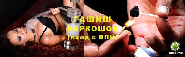сатива Аркадак