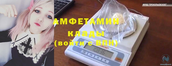 шишки Гусев