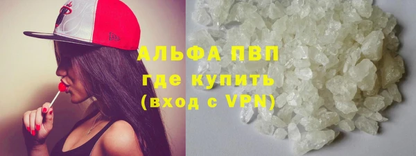 сатива Аркадак