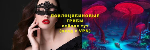 герыч Арсеньев