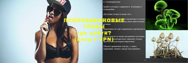 сатива Армянск