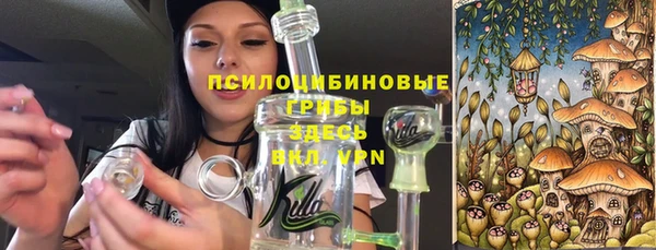 герыч Арсеньев