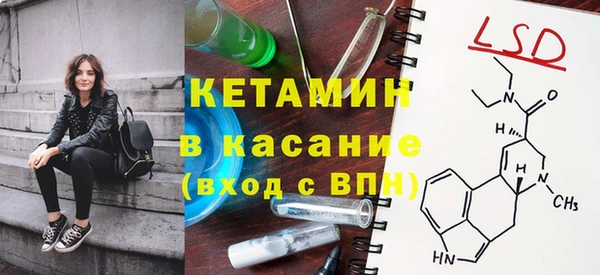 сатива Аркадак