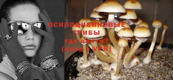 сатива Аркадак