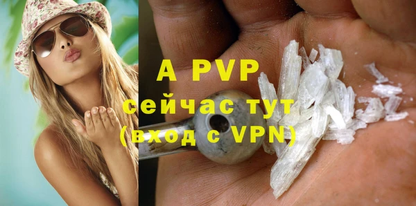 сатива Аркадак