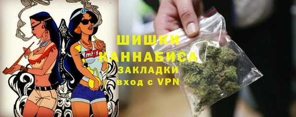 сатива Аркадак