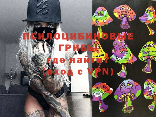 герыч Арсеньев