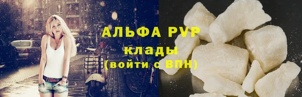 сатива Аркадак