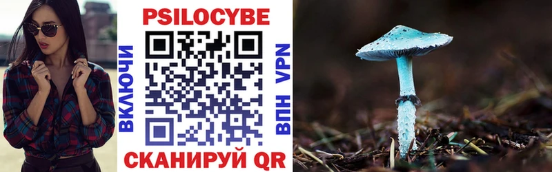Псилоцибиновые грибы GOLDEN TEACHER  купить   Ленинск-Кузнецкий 