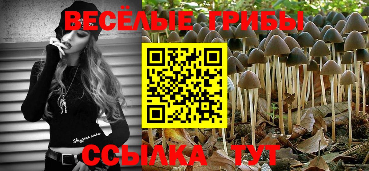 Ленинск-Кузнецкий  Галлюциногенные грибы мицелий  Вход с VPN 